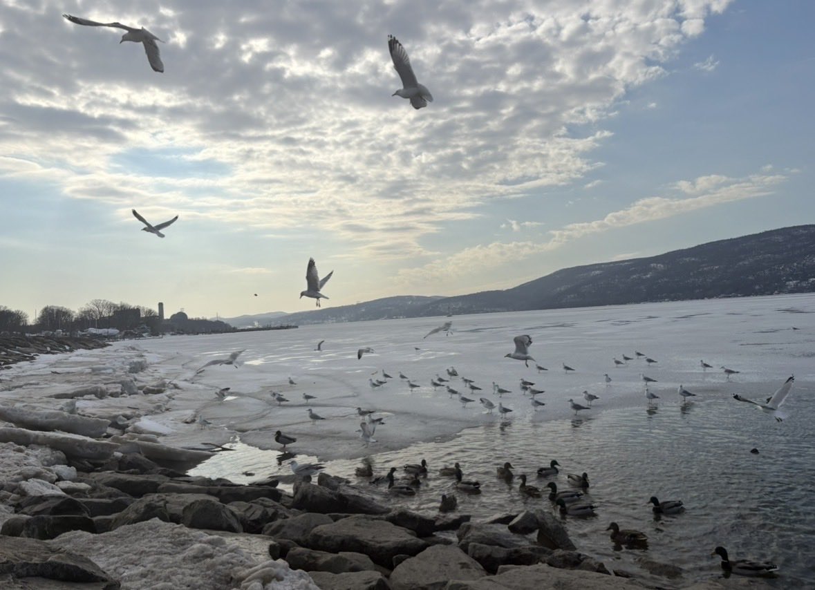 BinaNepram's tweet photo. “There can never be peace between nations until there is first known that true peace which is within the souls of men.” – Black Elk, Oglala Sioux #PeaceBeThePath #PrayingFor #MotherEarth #PeaceBeTheLaw https://t.co/WlXCjiGO9j