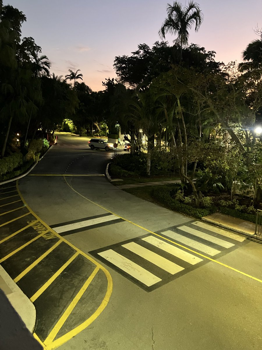 Joyce Frank tweet media