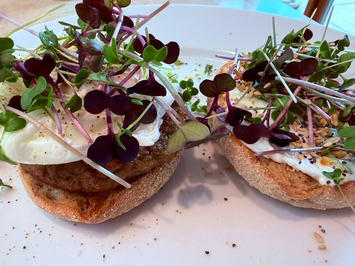 DesiDlnek's tweet image. My homegrown micro greens! 😋