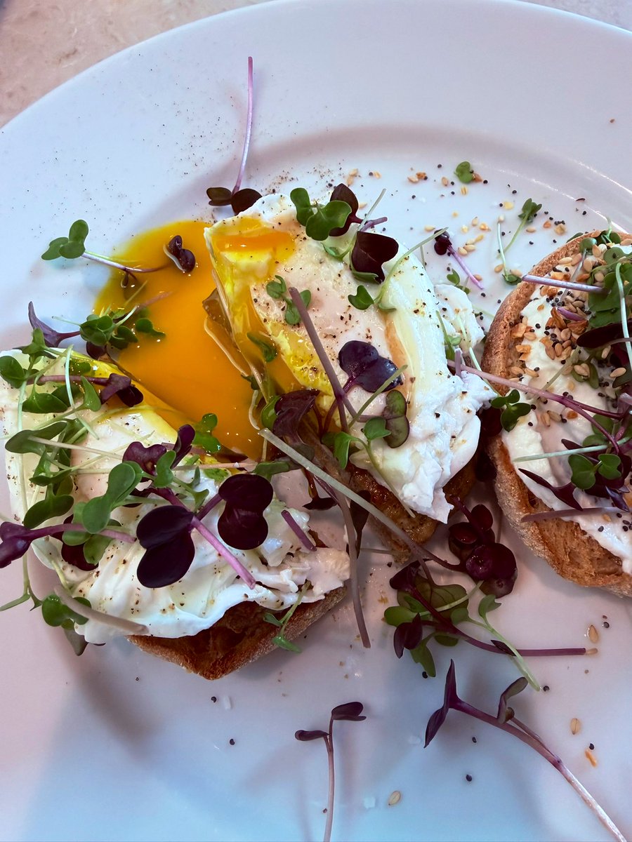 DesiDlnek's tweet image. My homegrown micro greens! 😋