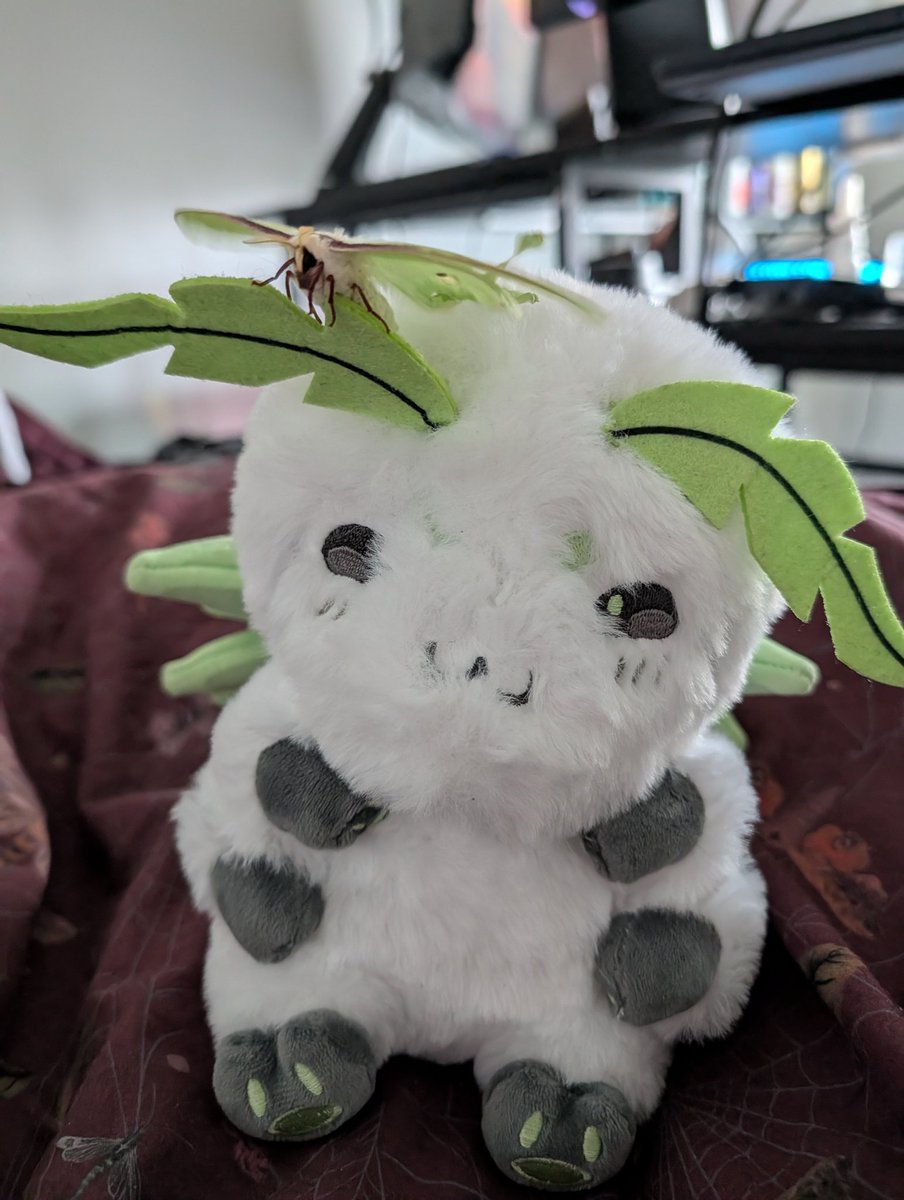 AvolitionBrit 💎VTuber 🏳️‍⚧️ tweet media