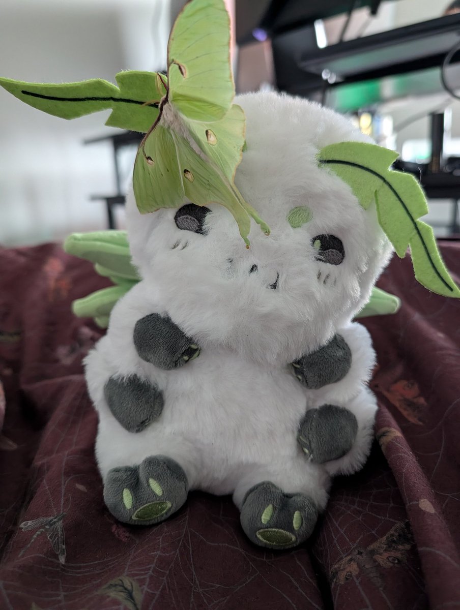 AvolitionBrit 💎VTuber 🏳️‍⚧️ tweet media