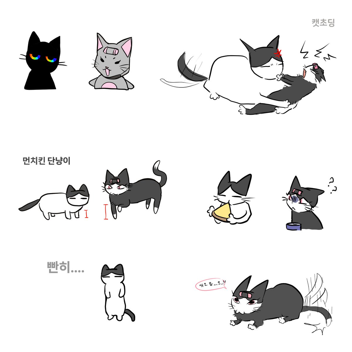 컵컵컵 tweet media