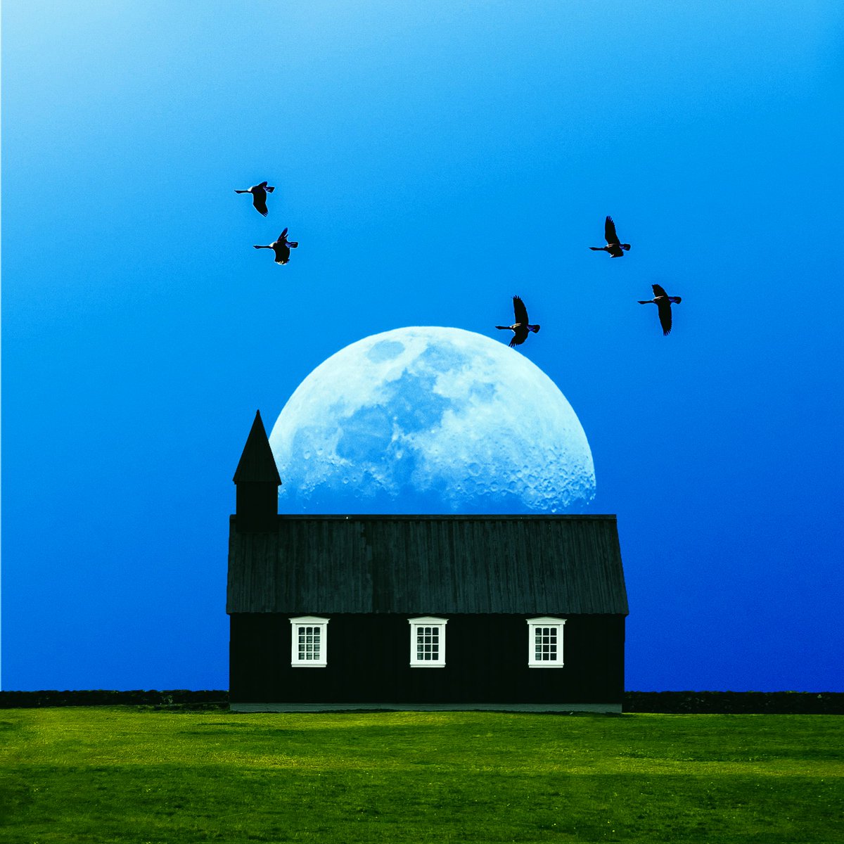 hasdirto tweet media