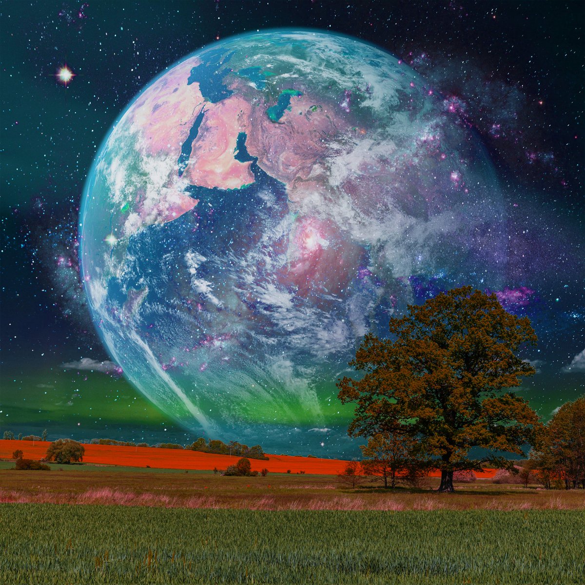 hasdirto tweet media