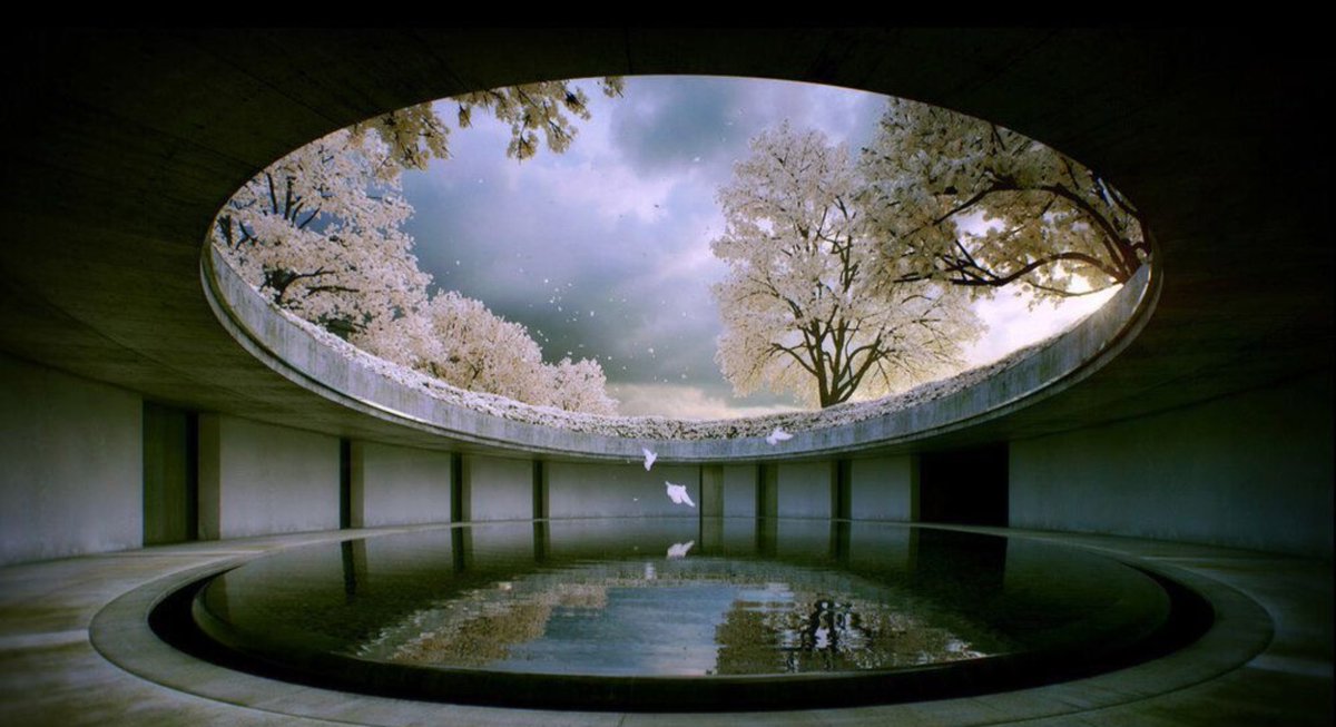 The sublime architectural work of Tadao Ando