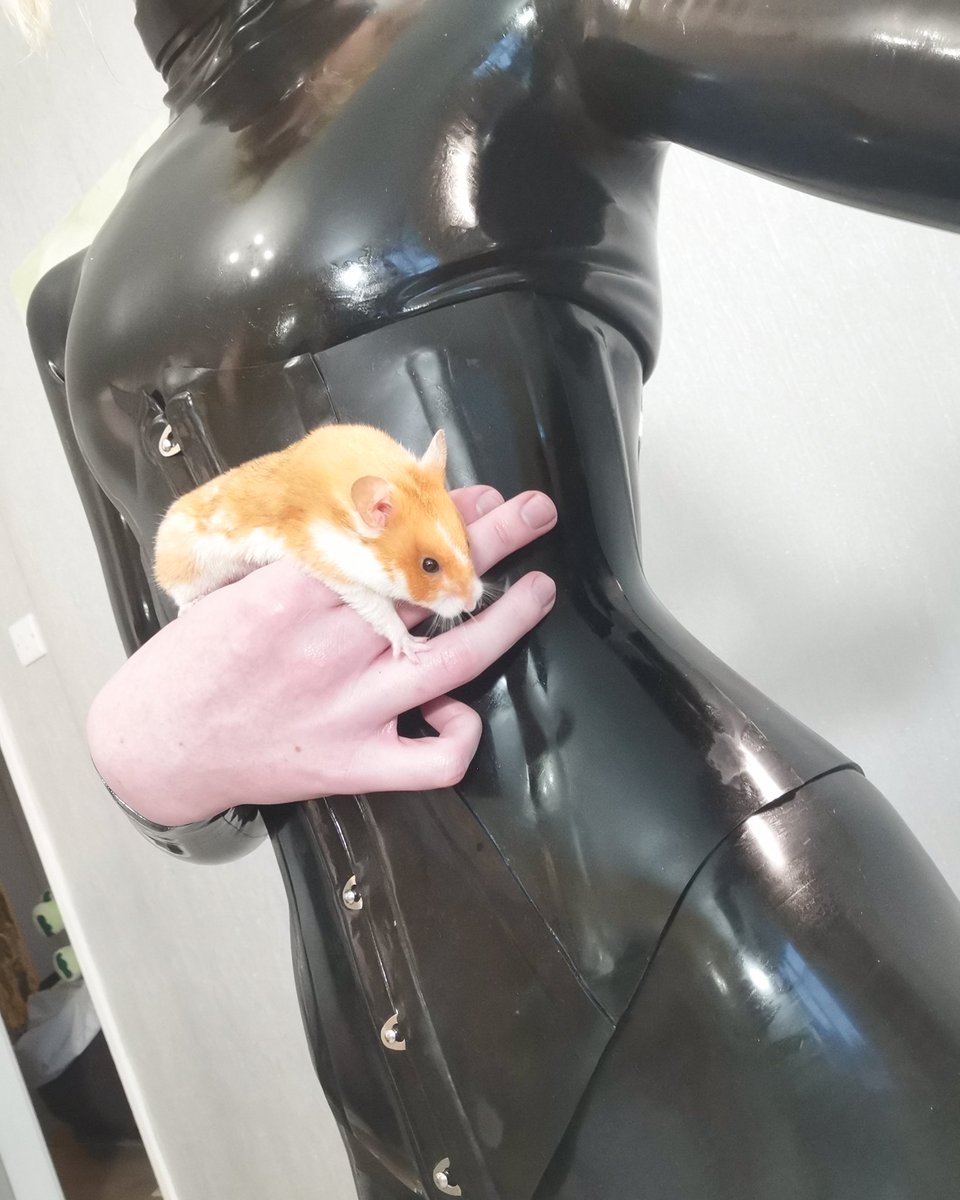 Felexiia tweet media