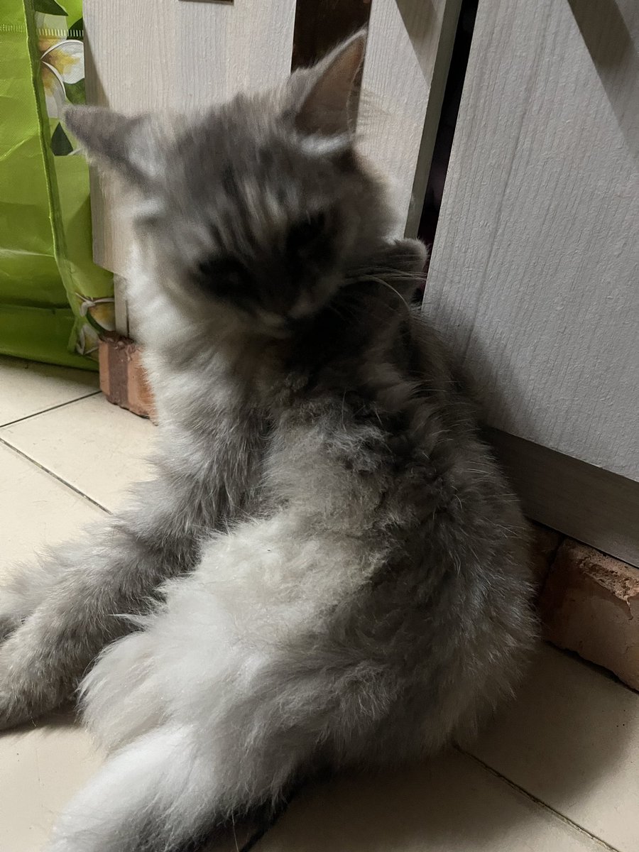 Nvm shes homee im good