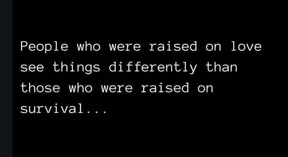 Brad Weinstein tweet media