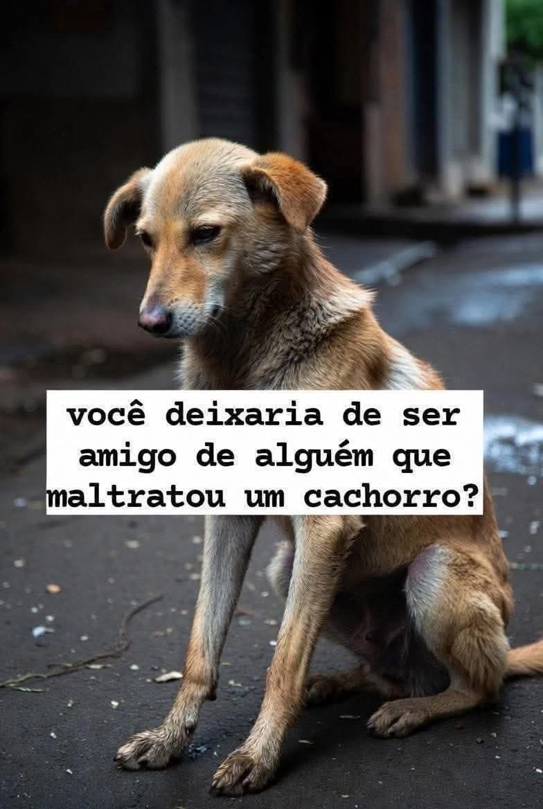 Harlen Carvalho tweet media