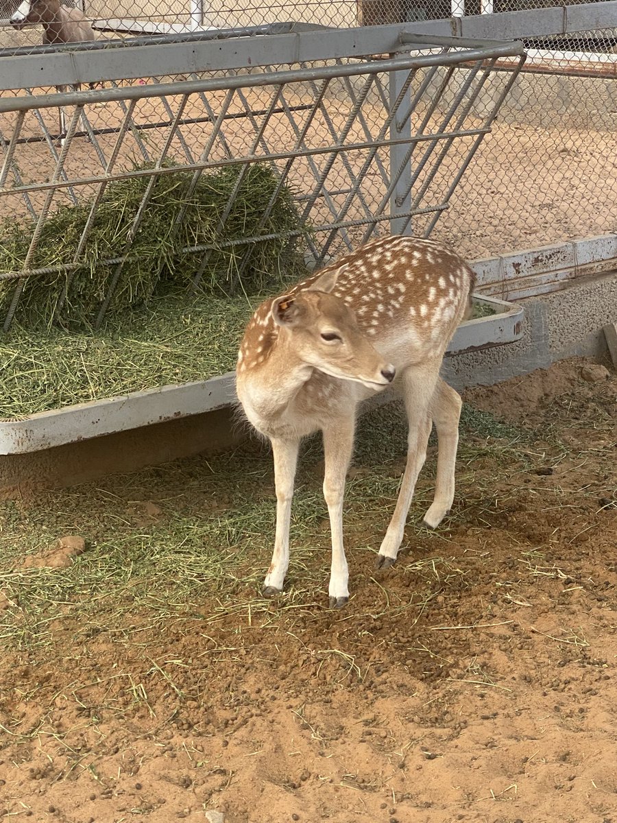 ρɹɹɹɹ̈ɹ̣I 💙🤍 🖊️ tweet media