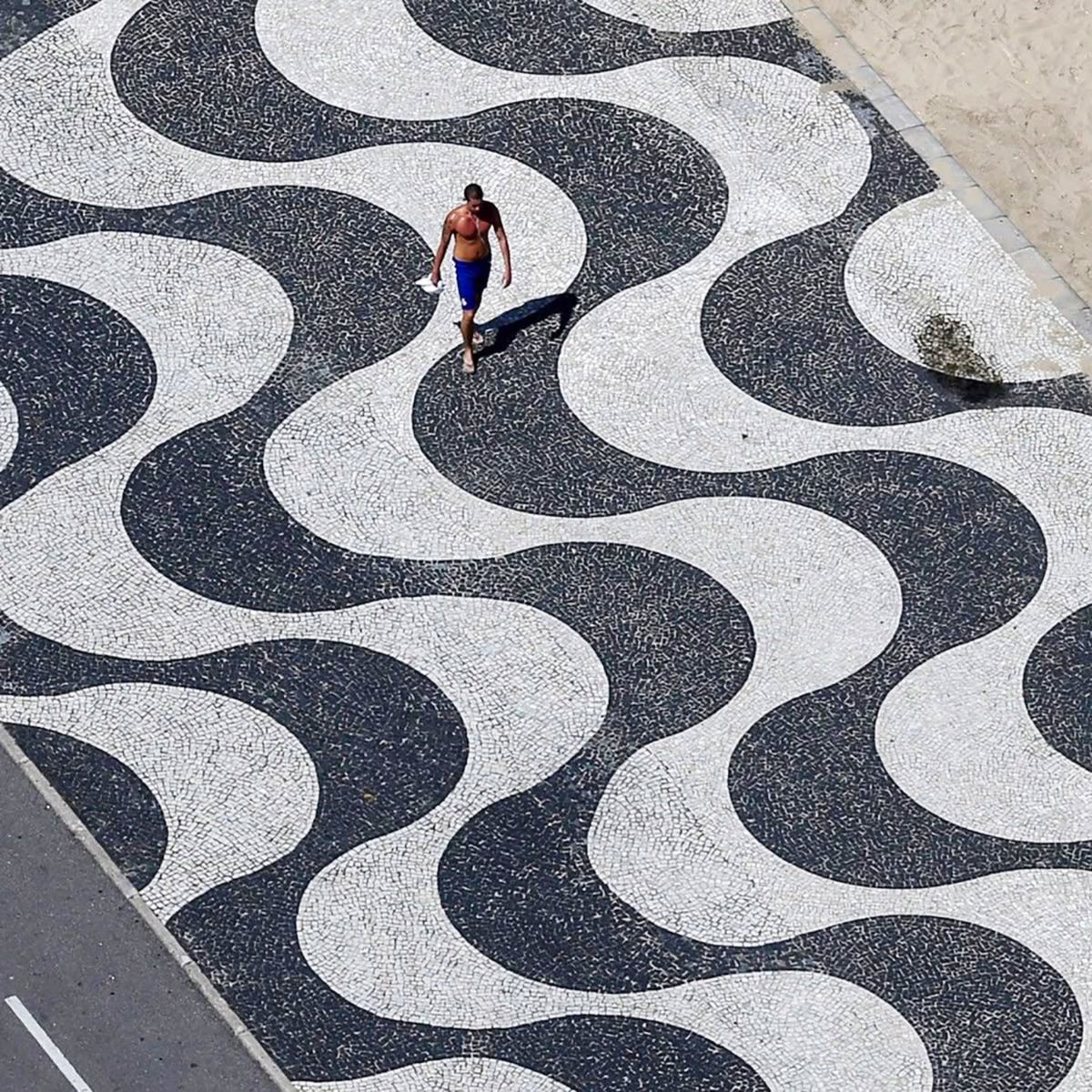 SciFiArchives's tweet photo. The legendary landscapes of Rio de Janeiro designed by Roberto Burle Marx https://t.co/YUUYTURGF3
