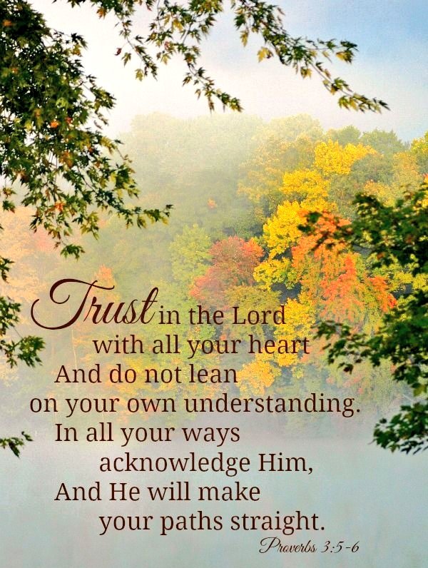MariaSisis's tweet photo. Trust in the Lord https://t.co/i5wu8NSzZR