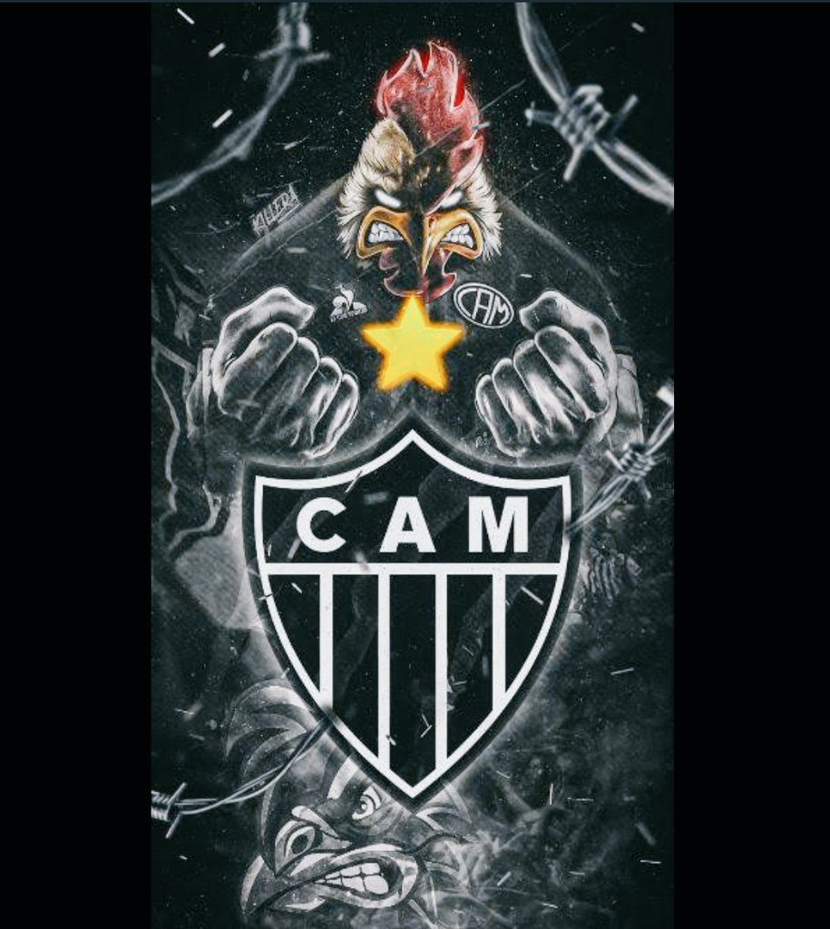 DG TRICAMpeão⭐⭐⭐ 🐓 tweet media