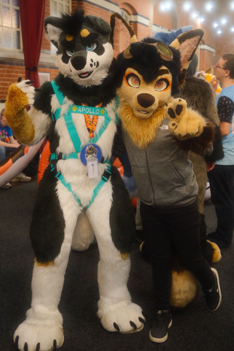 Apollo アポロ tweet media