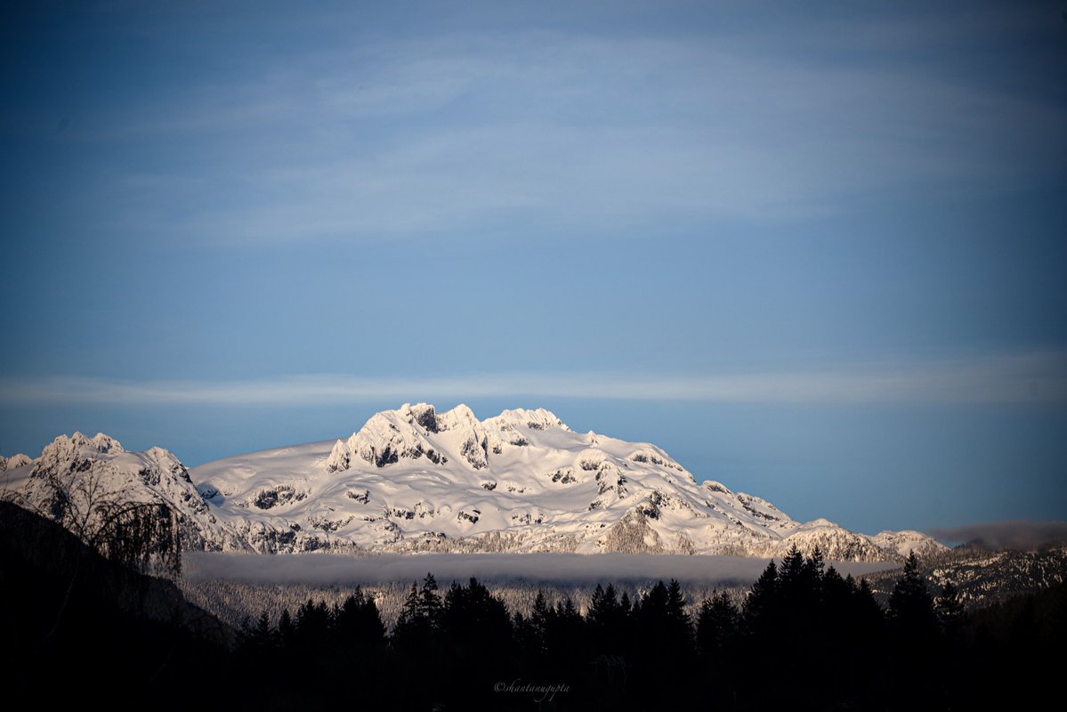 Shantanu Gupta tweet media