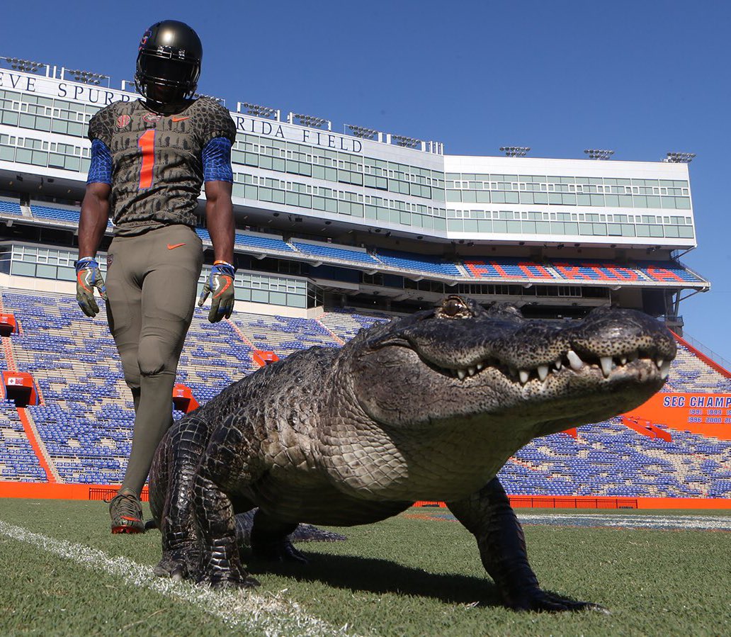 Gators Uniform Tracker tweet media