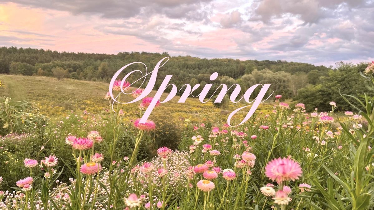 novaspetal's tweet photo. happy march &amp; womens month ˚｡⋆🌷 ⋆✴︎˚｡⋆ https://t.co/dDjNxtOvIL