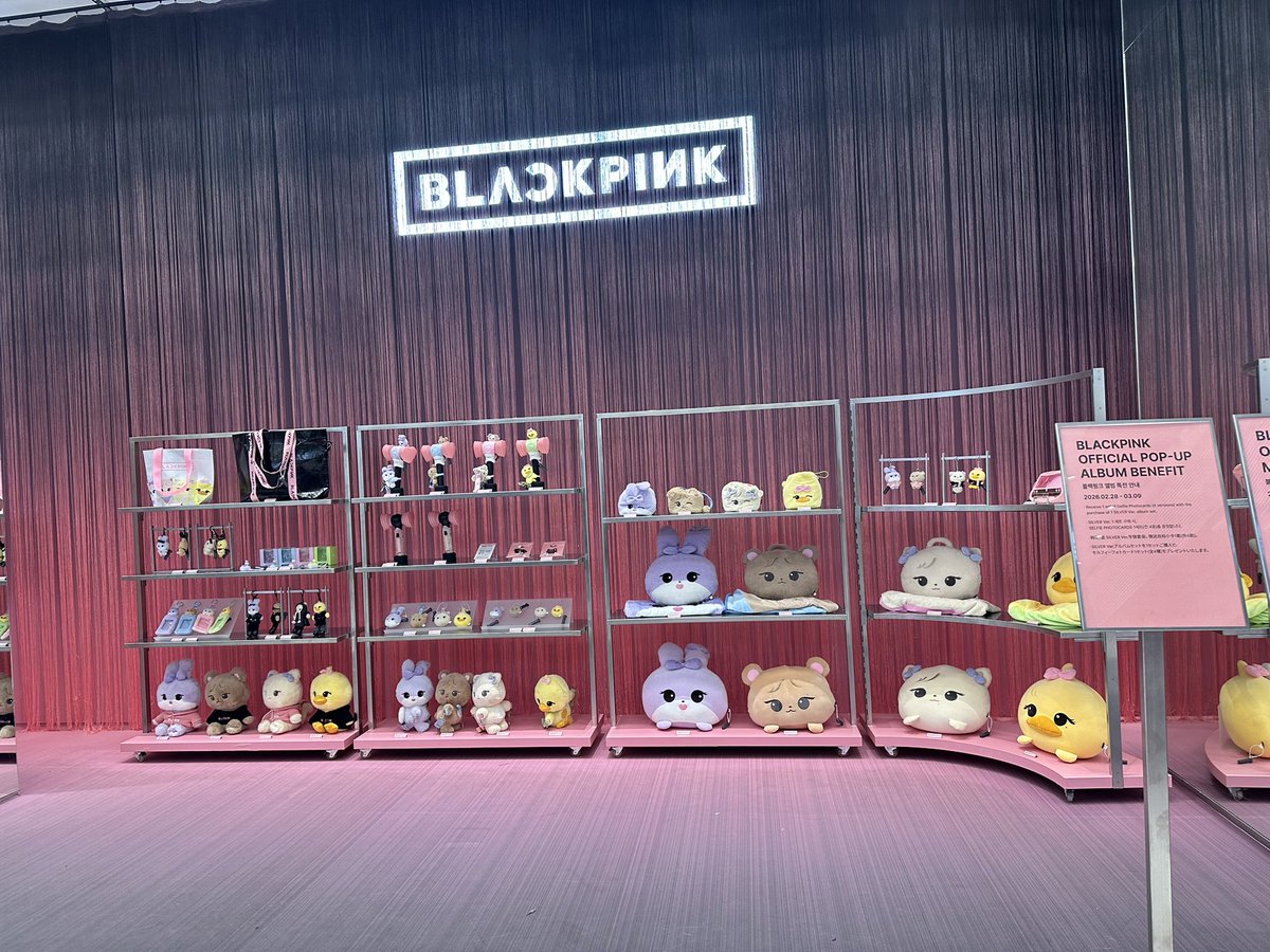 icsi | 𝐒𝐭𝐚𝐫𝐭 𝐚 𝐰𝐚𝐫 #𝟏 𝐬𝐭𝐚𝐧🦫 tweet media