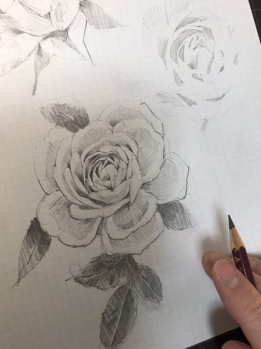 薔薇のデッサン練習