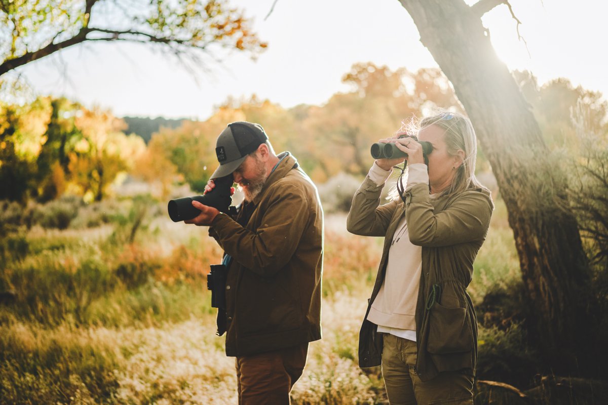 Bird-Watchers.com tweet media
