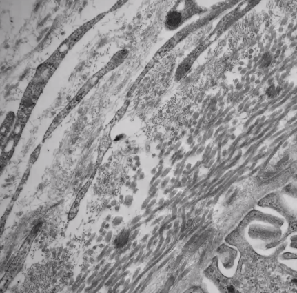 Tiffany Caza tweet media