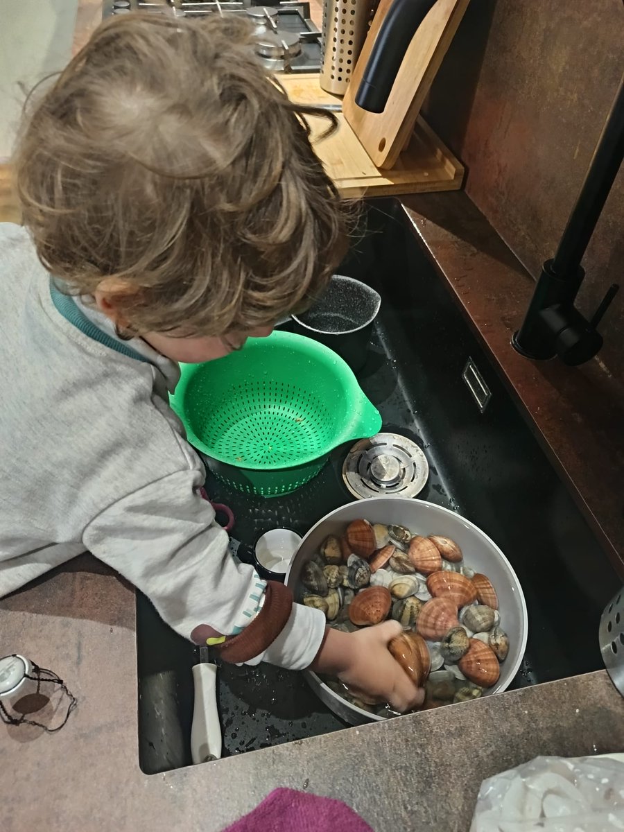 Veronica Valli tweet media