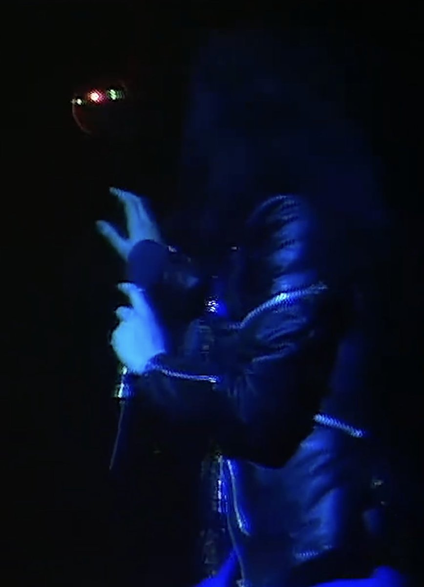 Kate Bush: On Location - a new book tweet media