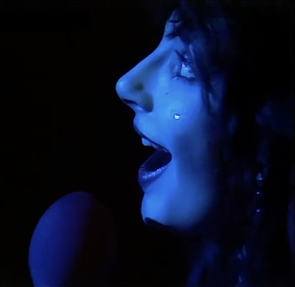 Kate Bush: On Location - a new book tweet media