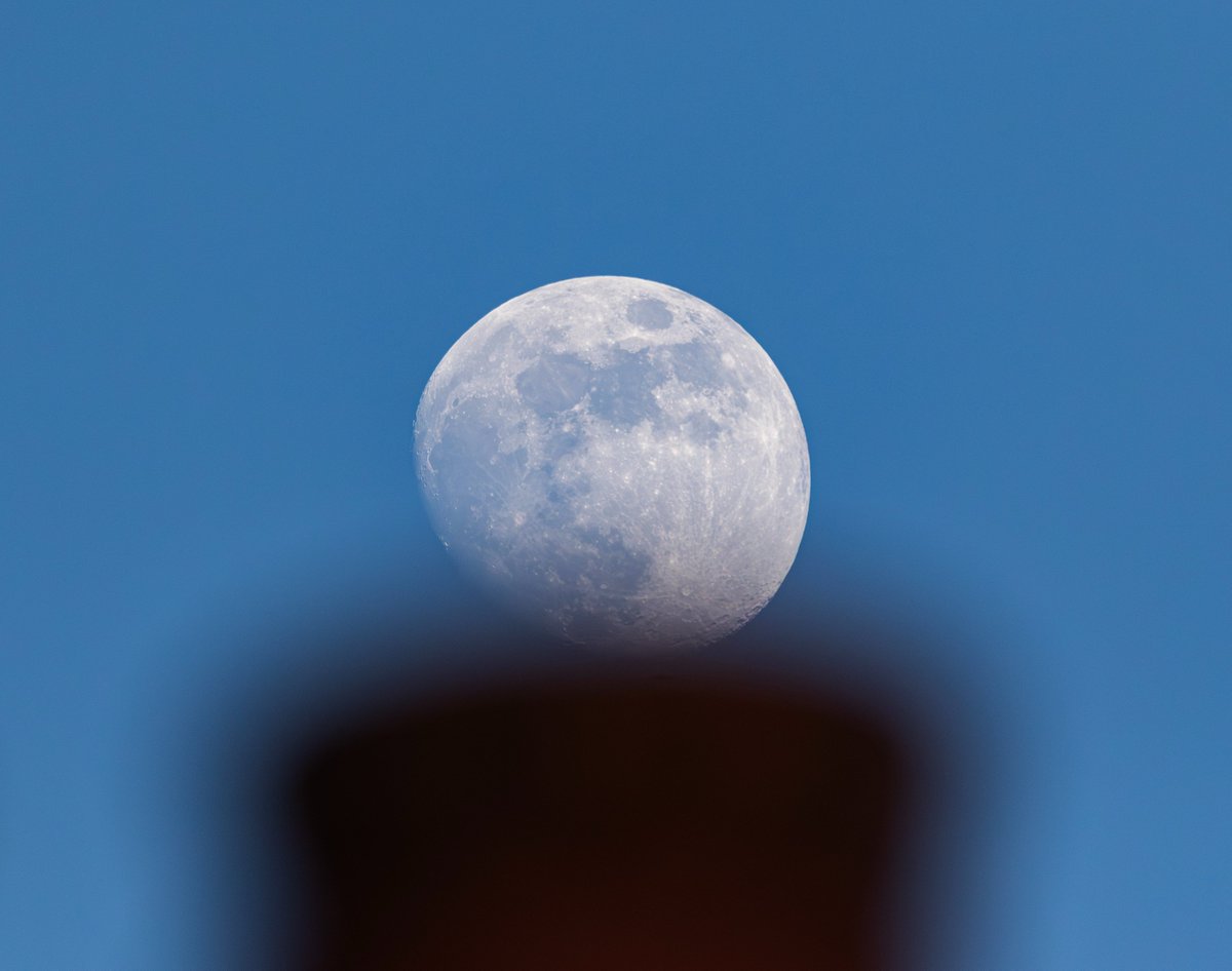 Ray Browell Photography tweet media