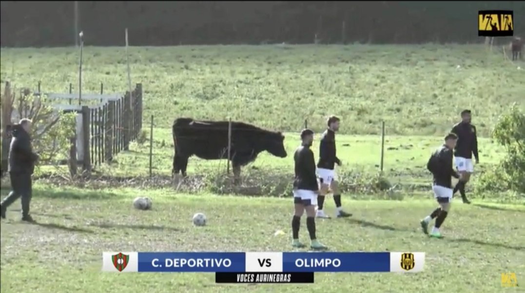 DePrimeraa's tweet photo. Mientras tanto Olimpo. https://t.co/YydBB8QmnJ