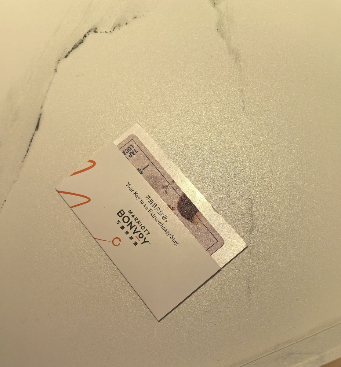 🐷 LU👀 tweet media