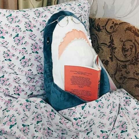 i ⛅️ tweet media