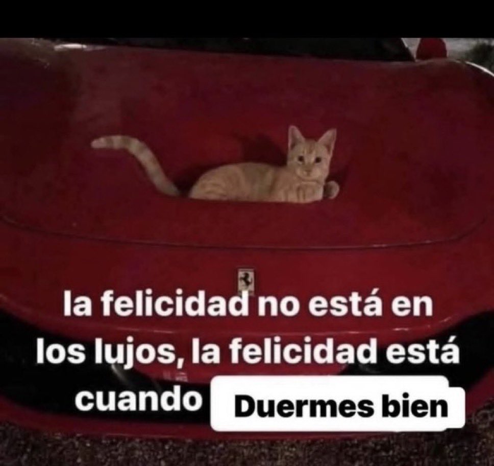 🌙 mini textos (@soyminitextos) on Twitter photo 