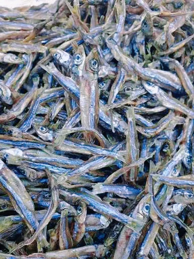 NgandPatient's tweet photo. Un pays désertique comme les #ÉmiratsArabesUnis envoie des #ndakala jusqu’à #Kinshasa. Pendant ce temps, des poissons pourrissent à #Kalemie et #Moanda. Le problème n’est pas la nature, mais l’organisation économique et logistique de la #RépubliqueDémocratiqueduCongo. https://t.co/x89OP3PgDB