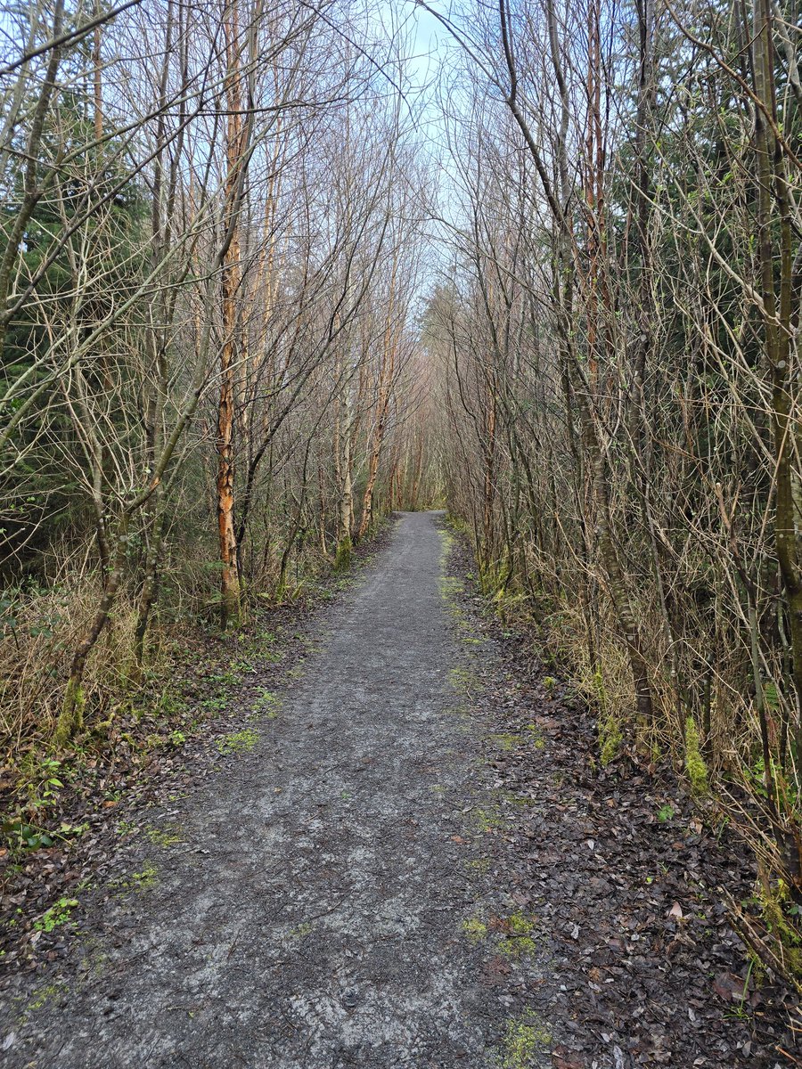 Sam O'Neill tweet media