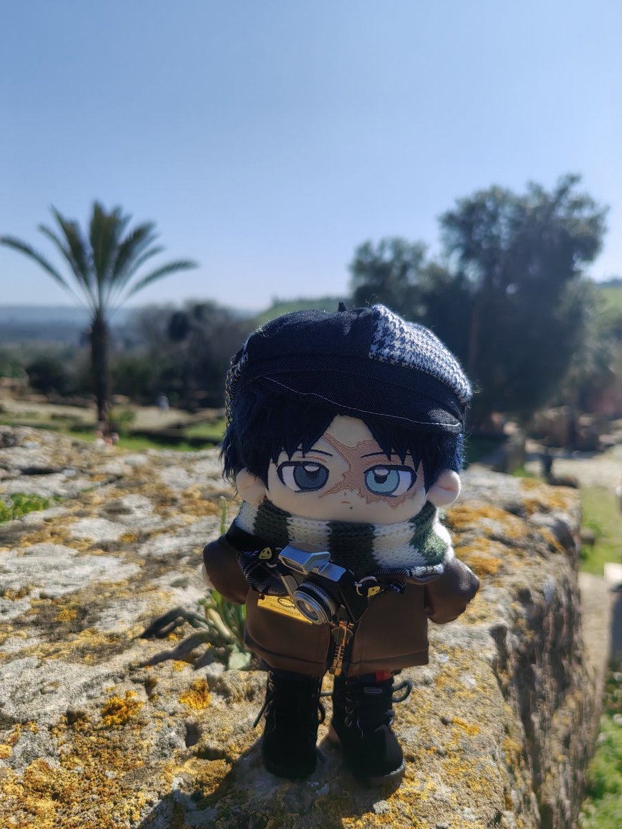 奉楽子 tweet media