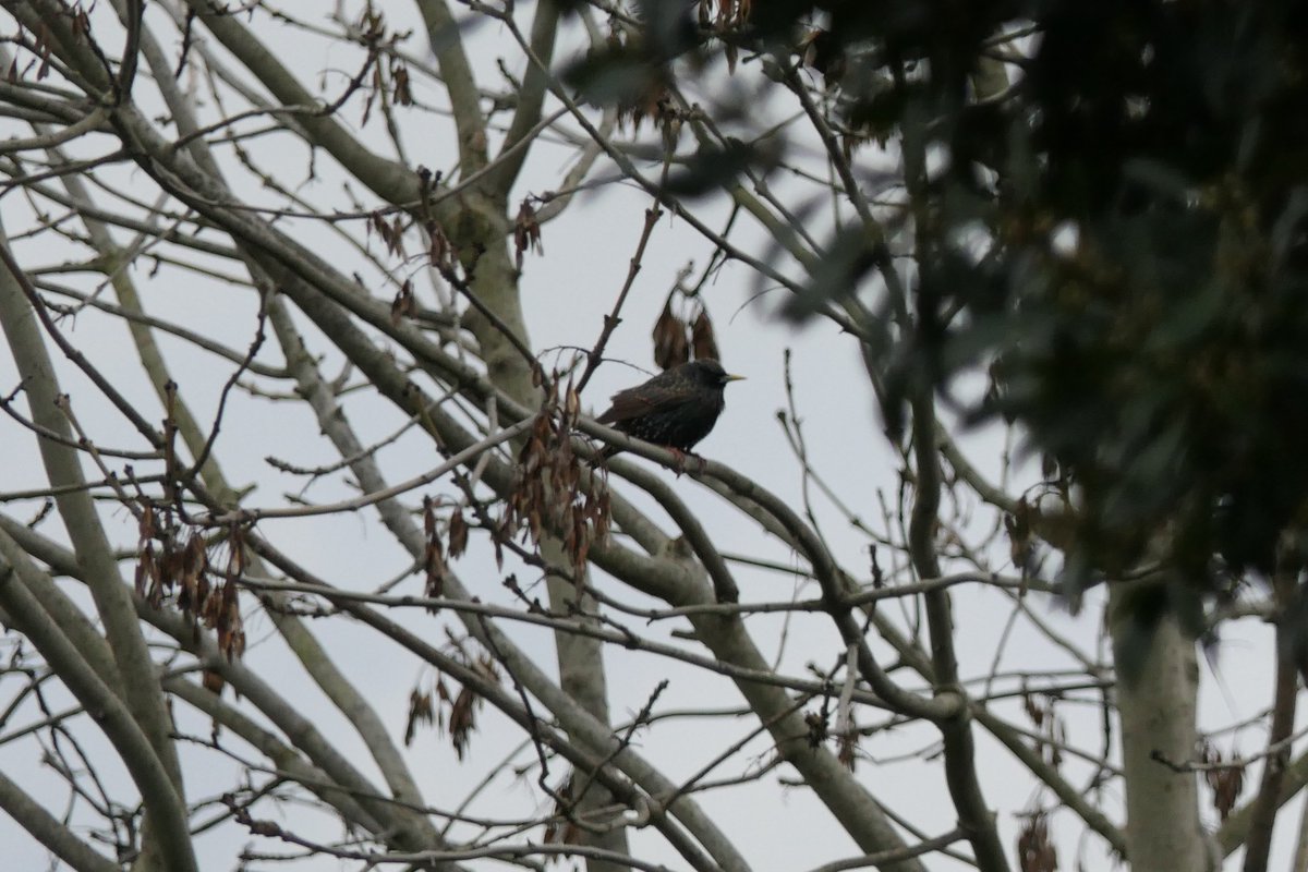 Nikki Nisbet tweet media