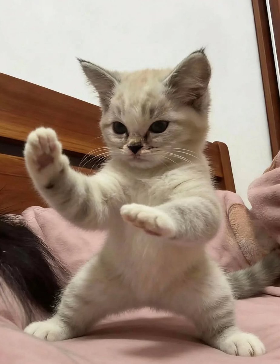 Dunia udh gonjang ganjing 

Hidup masih aja gada perubahan njingg