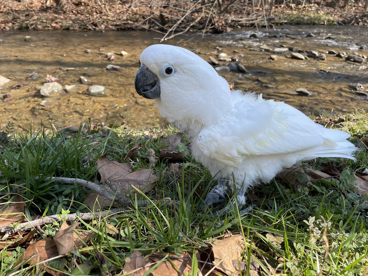 I found this outside