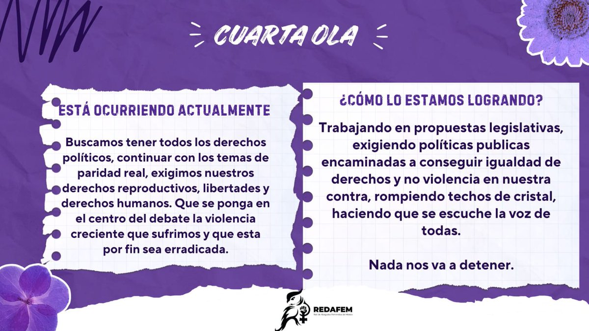 RedAbogadasFeministasMx tweet media