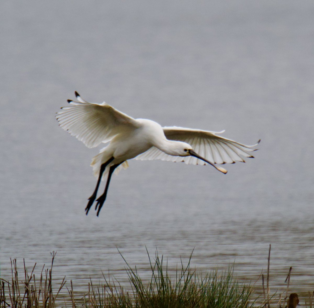 Tim Ridgeway tweet media