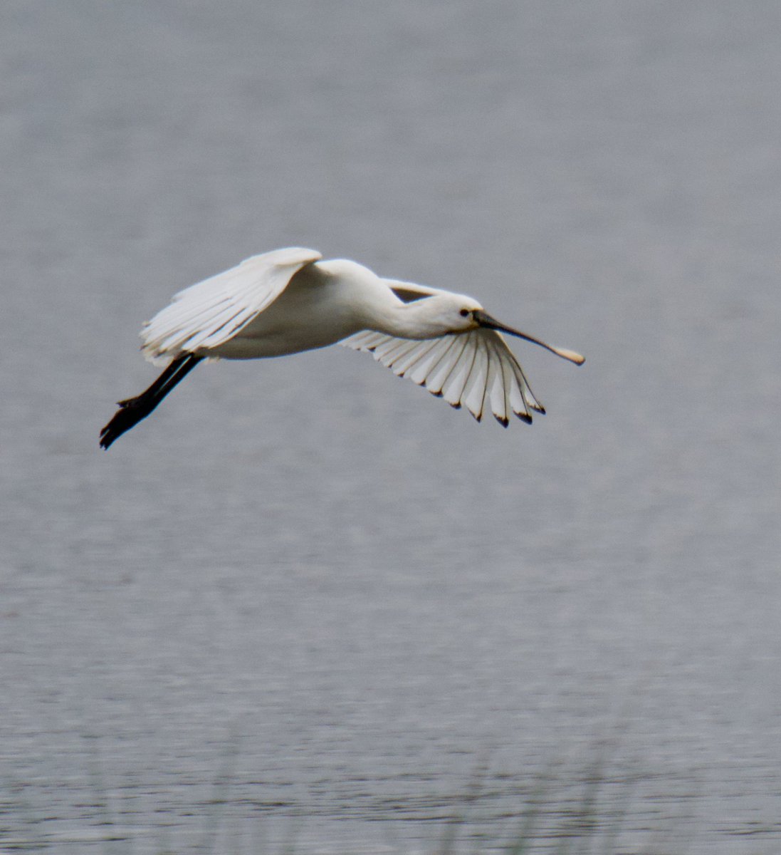 Tim Ridgeway tweet media