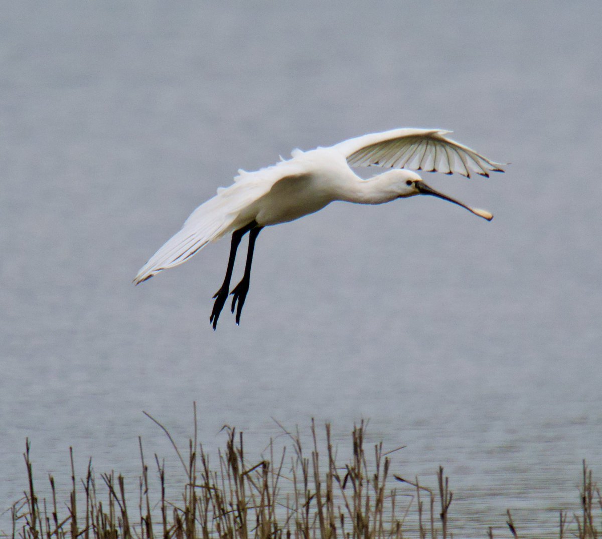 Tim Ridgeway tweet media