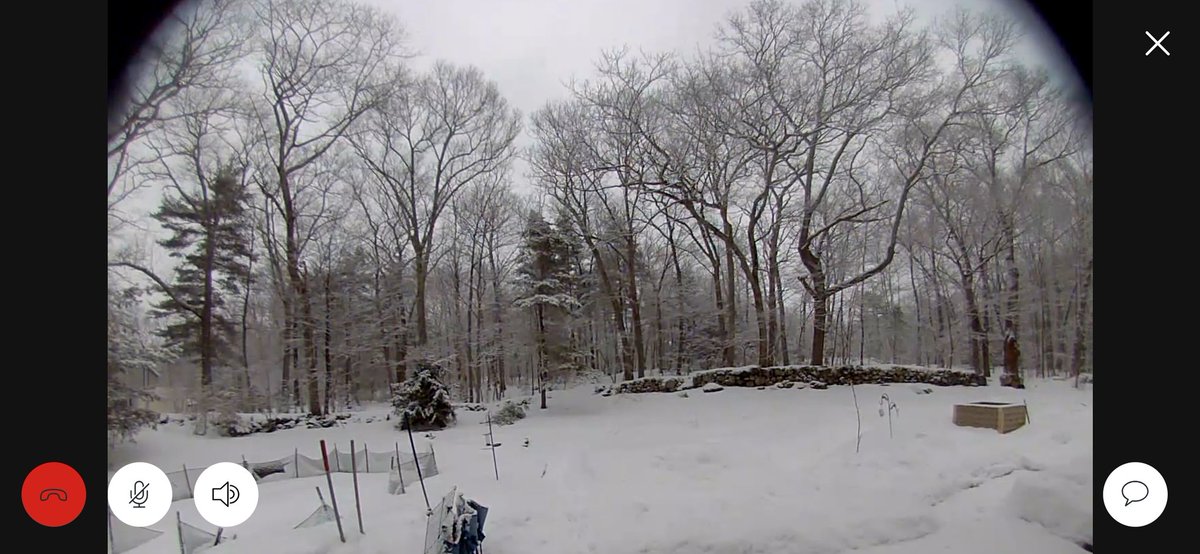 Lemon 🍋 tweet media