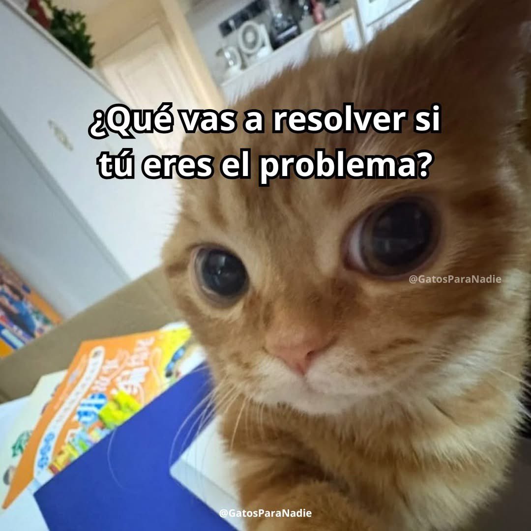 ROLEGUTI tweet media