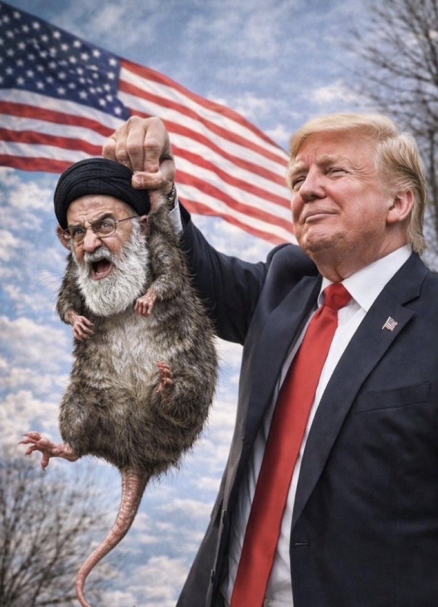 In Love With Dogs & Breakings News tweet media