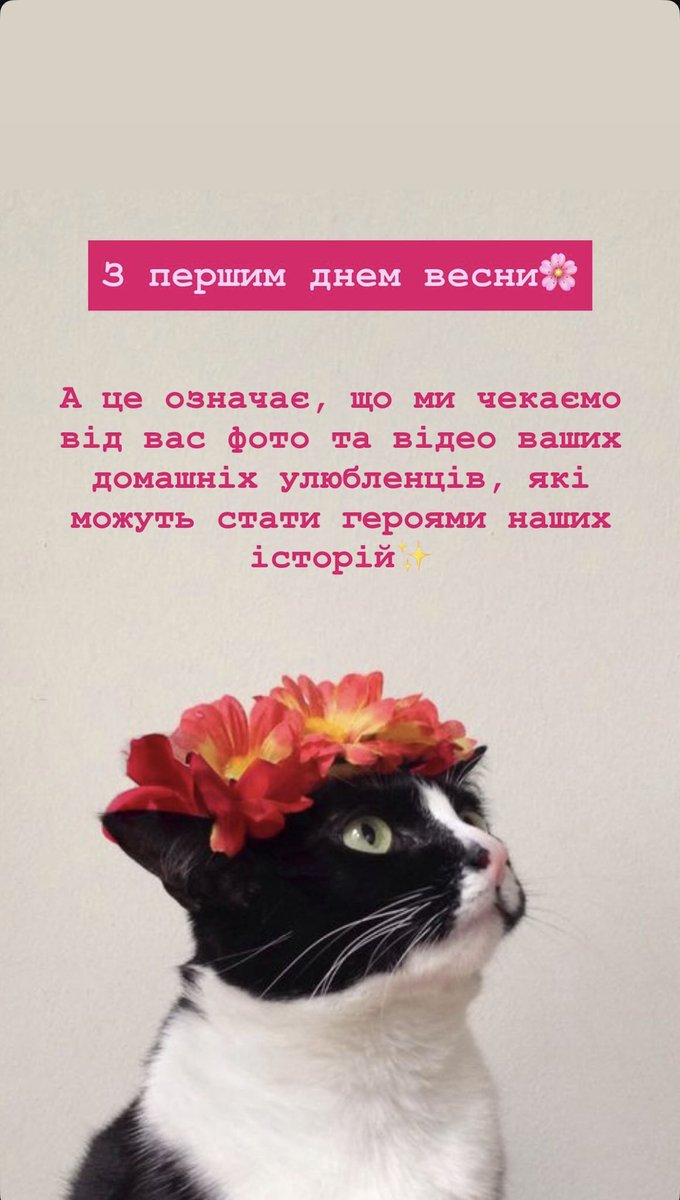 Відділення анестезіології НДСЛ "Охматдит" tweet media