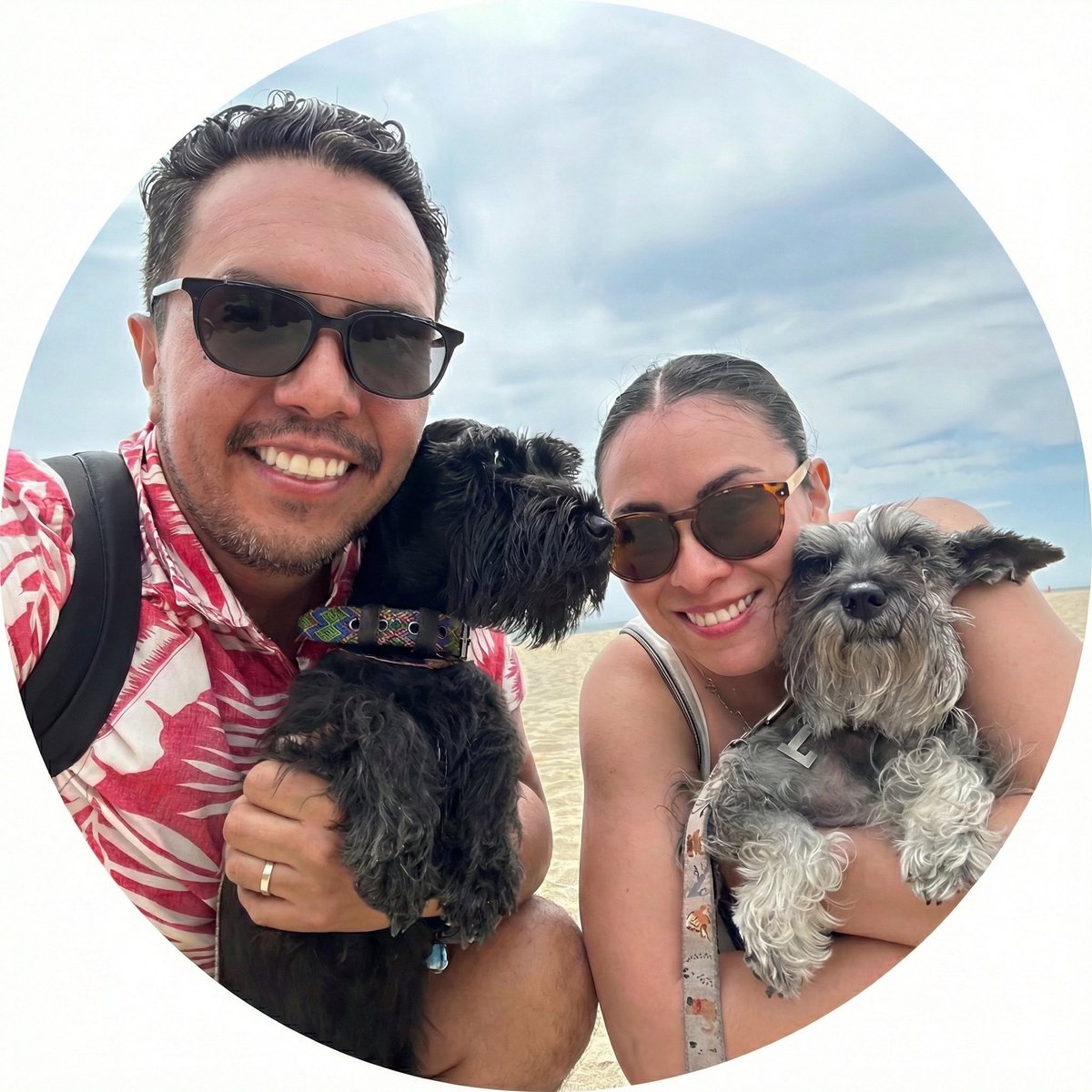 Perrhijos tweet media