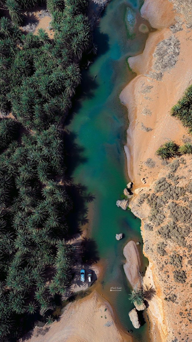 ألا تبدو كصورة من فيلم خيالي؟
تقع جزيرة سقطرى جنوب #اليمن وتعد موطناً لحوالى 400 نوع من الحيوانات والنباتات النادرة مما جعلها جديرة بالإضافة إلى قائمة التراث العالمي لليونسكو .. وتتميز بمناظرها الطبيعية الخلابة ومناخها الصحراوي الإستوائي.

📸 : حمزة باسالم